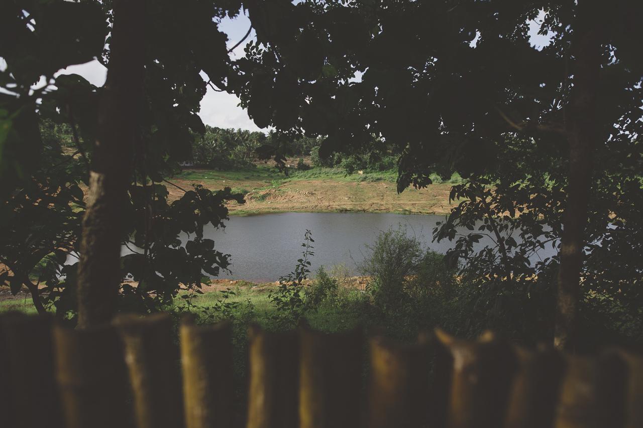 Riverine Springs Wadakkanchery Zewnętrze zdjęcie