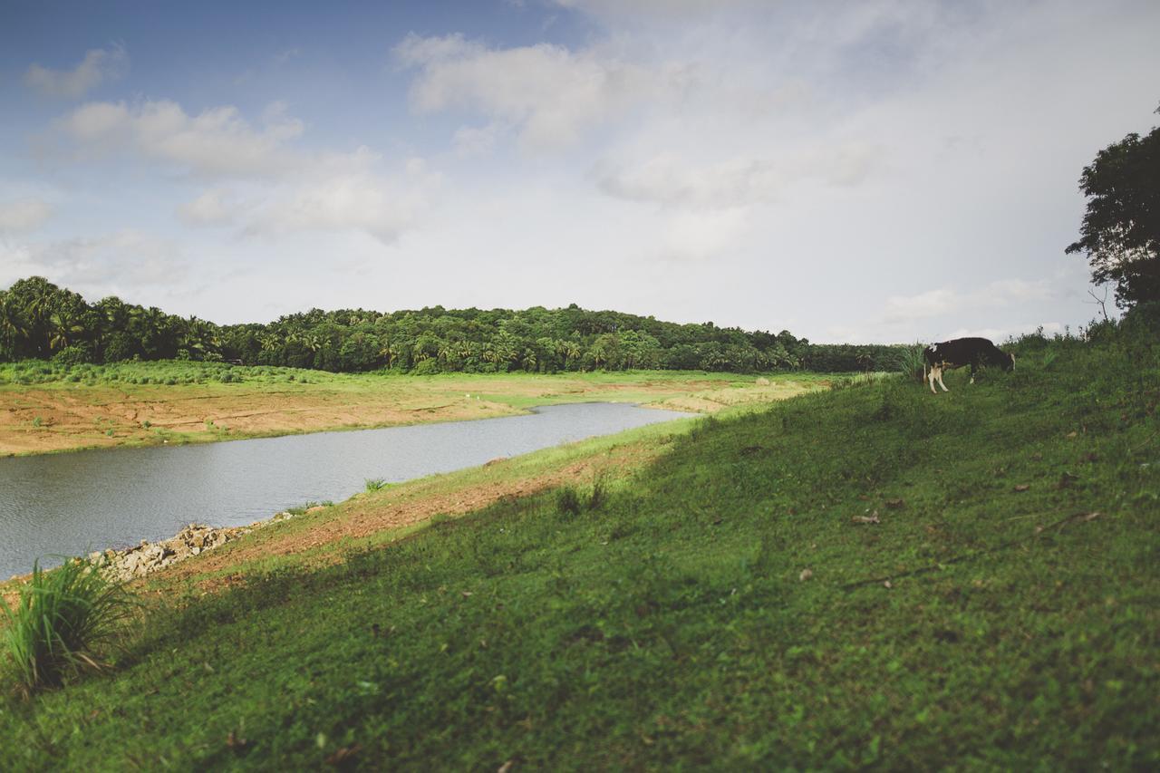 Riverine Springs Wadakkanchery Zewnętrze zdjęcie